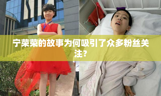 宁荣荣的故事为何吸引了众多粉丝关注？