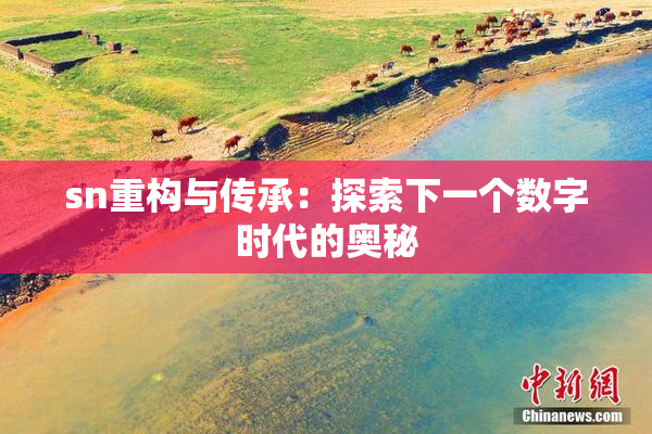sn重构与传承：探索下一个数字时代的奥秘