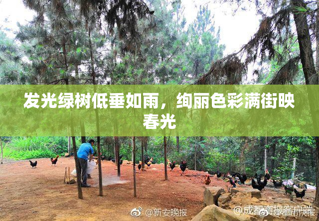 发光绿树低垂如雨，绚丽色彩满街映春光