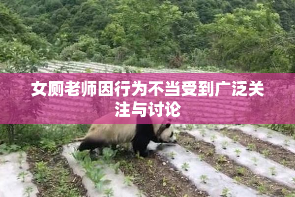 女厕老师因行为不当受到广泛关注与讨论
