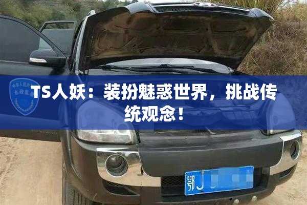 TS人妖：装扮魅惑世界，挑战传统观念！