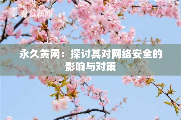 永久黄网：探讨其对网络安全的影响与对策