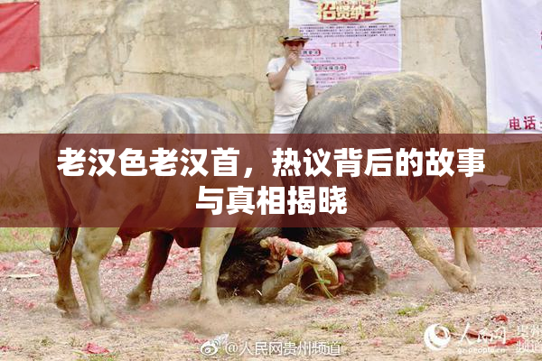 老汉色老汉首，热议背后的故事与真相揭晓