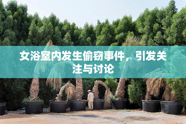 女浴室内发生偷窃事件，引发关注与讨论