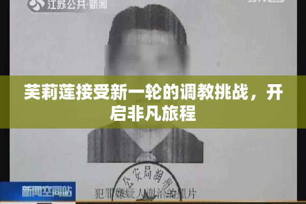 芙莉莲接受新一轮的调教挑战，开启非凡旅程