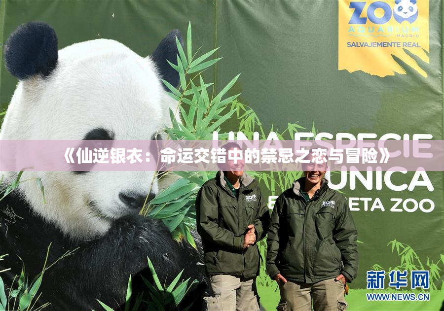 《仙逆银衣：命运交错中的禁忌之恋与冒险》