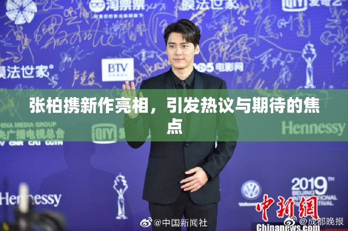 张柏携新作亮相，引发热议与期待的焦点