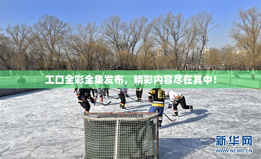 工口全彩全集发布，精彩内容尽在其中！