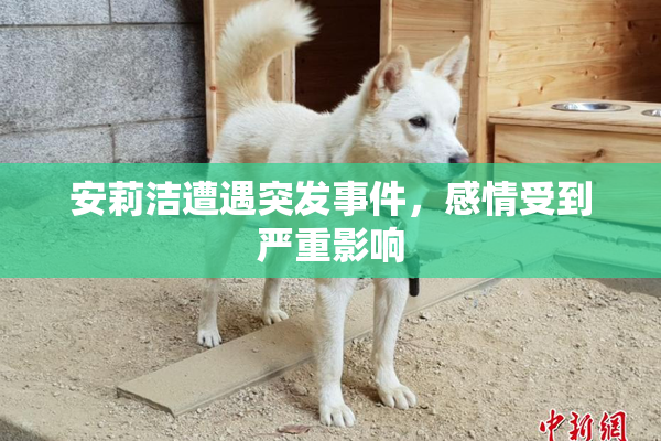 安莉洁遭遇突发事件，感情受到严重影响