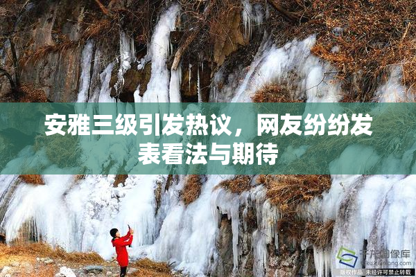 安雅三级引发热议，网友纷纷发表看法与期待