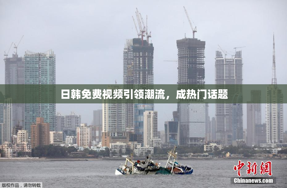 日韩免费视频引领潮流，成热门话题