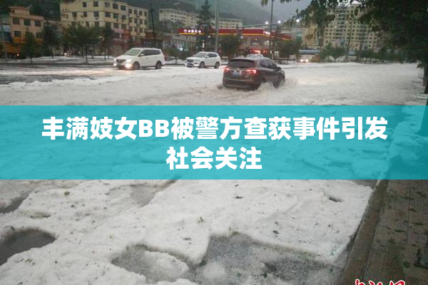 丰满妓女BB被警方查获事件引发社会关注