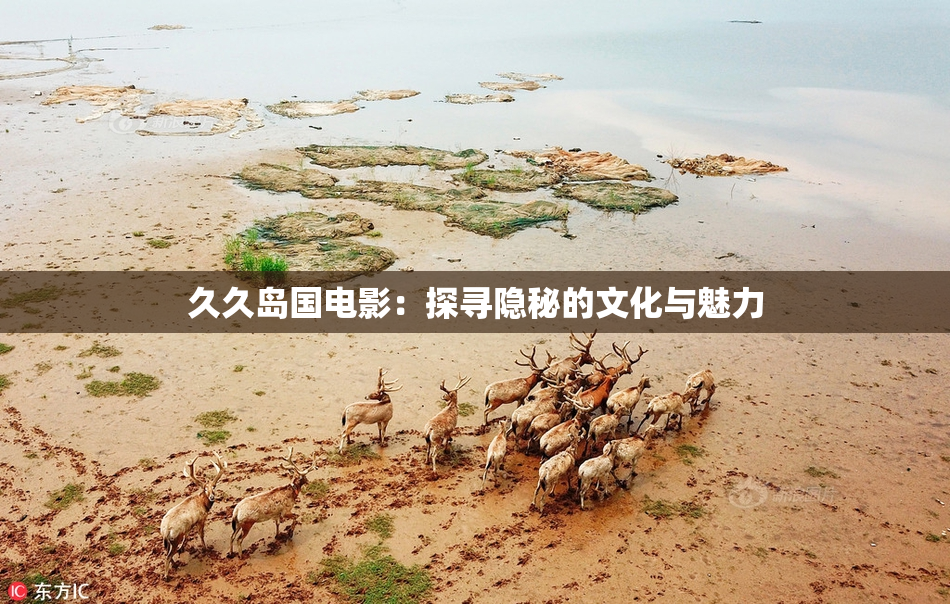 久久岛国电影：探寻隐秘的文化与魅力