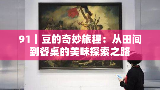 91丨豆的奇妙旅程：从田间到餐桌的美味探索之路