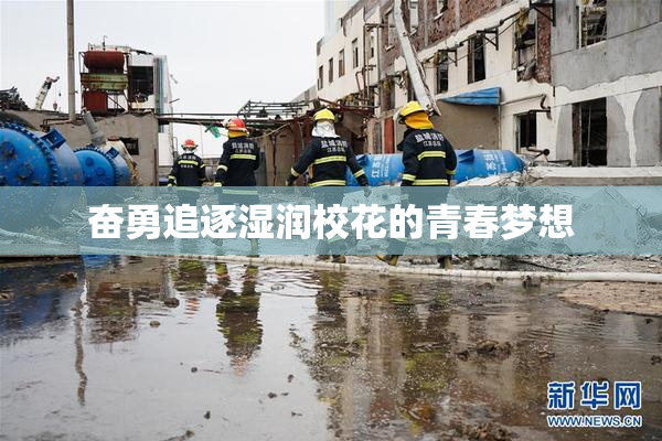 奋勇追逐湿润校花的青春梦想
