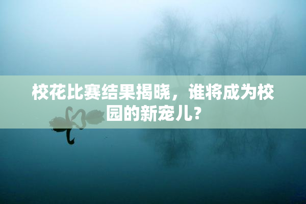 校花比赛结果揭晓，谁将成为校园的新宠儿？
