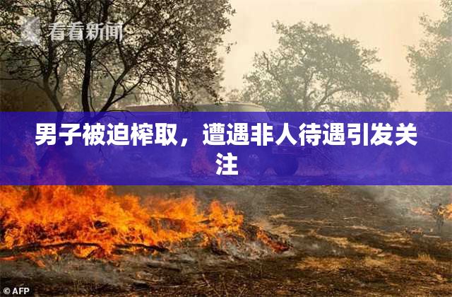男子被迫榨取，遭遇非人待遇引发关注