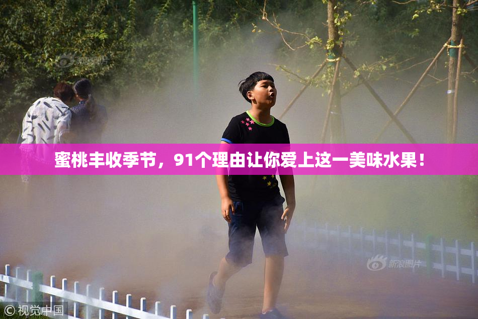 蜜桃丰收季节，91个理由让你爱上这一美味水果！