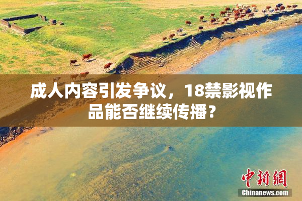 成人内容引发争议，18禁影视作品能否继续传播？