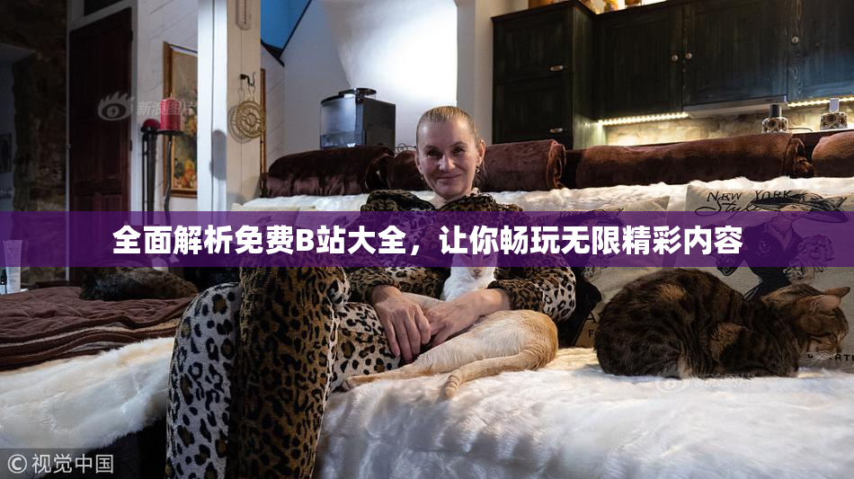 全面解析免费B站大全，让你畅玩无限精彩内容