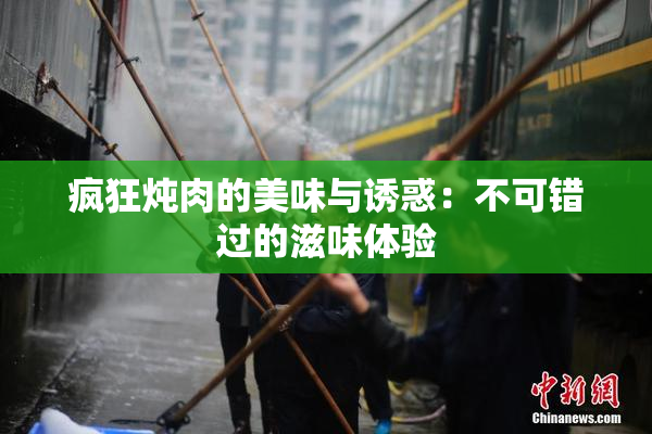 疯狂炖肉的美味与诱惑：不可错过的滋味体验