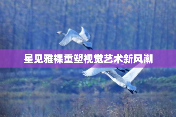 星见雅裸重塑视觉艺术新风潮