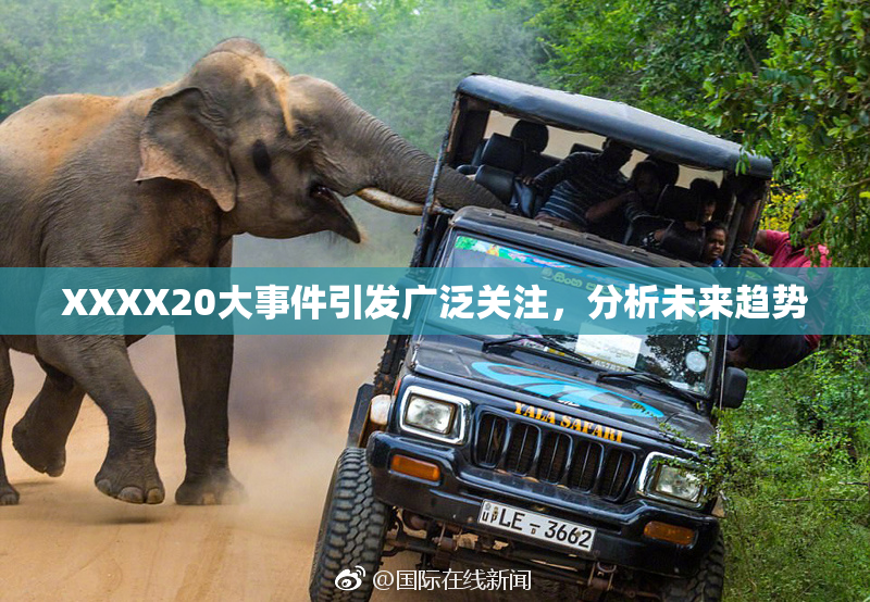 XXXX20大事件引发广泛关注，分析未来趋势