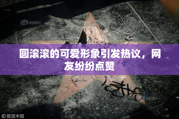圆滚滚的可爱形象引发热议，网友纷纷点赞