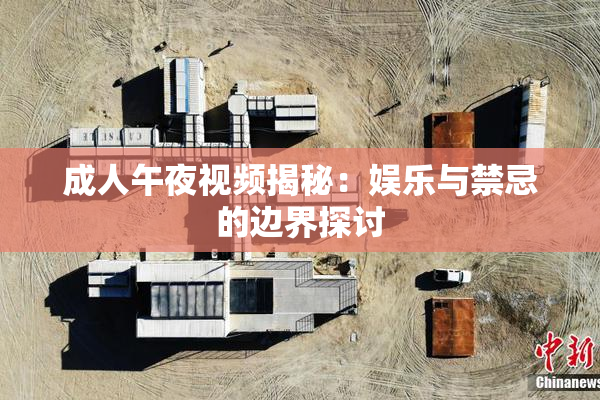 成人午夜视频揭秘：娱乐与禁忌的边界探讨