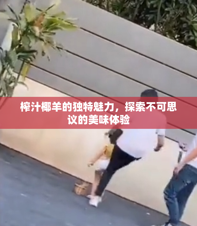 榨汁椰羊的独特魅力，探索不可思议的美味体验