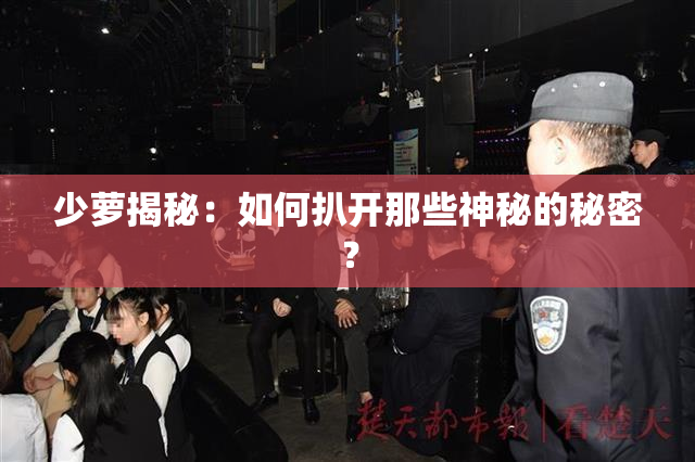 少萝揭秘：如何扒开那些神秘的秘密？