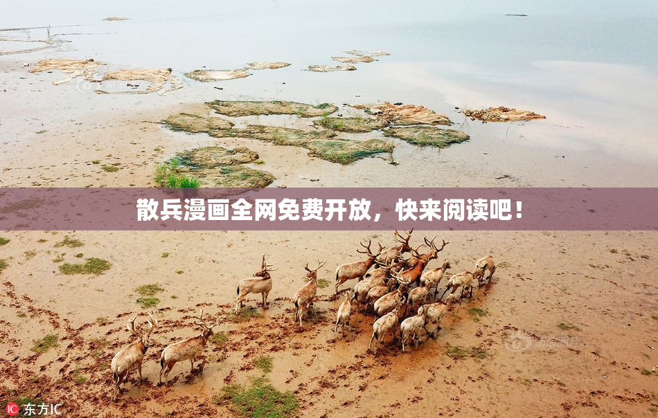 散兵漫画全网免费开放，快来阅读吧！