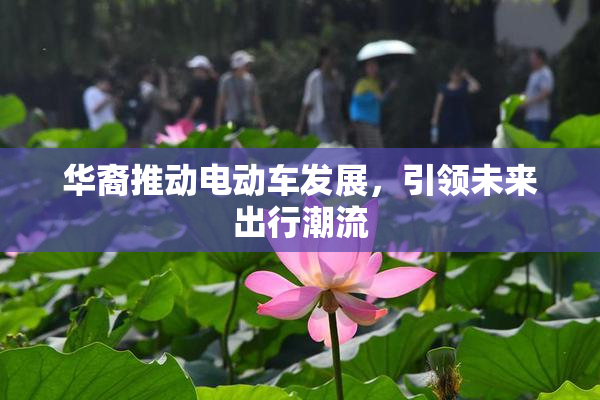 华裔推动电动车发展，引领未来出行潮流