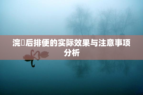 浣腸后排便的实际效果与注意事项分析