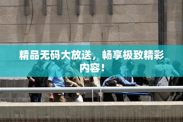 精品无码大放送，畅享极致精彩内容！