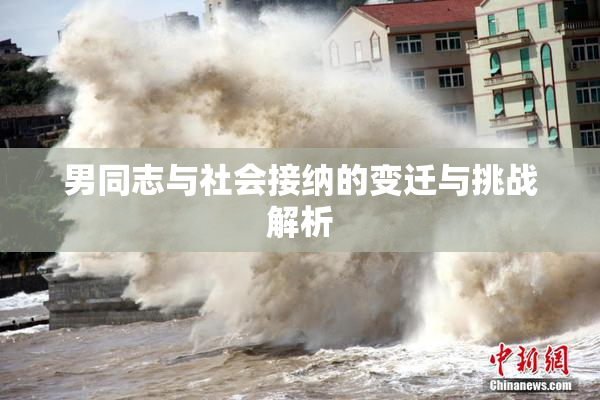 男同志与社会接纳的变迁与挑战解析