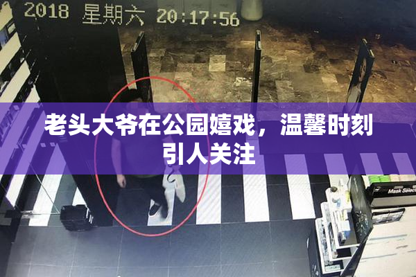 老头大爷在公园嬉戏，温馨时刻引人关注