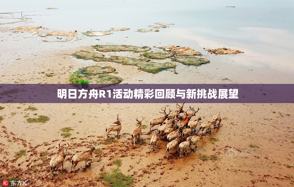 明日方舟R1活动精彩回顾与新挑战展望
