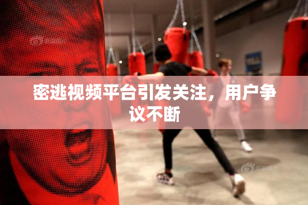 密逃视频平台引发关注，用户争议不断
