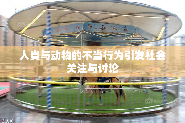 人类与动物的不当行为引发社会关注与讨论