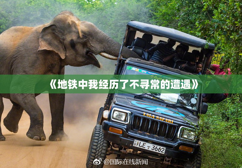 《地铁中我经历了不寻常的遭遇》