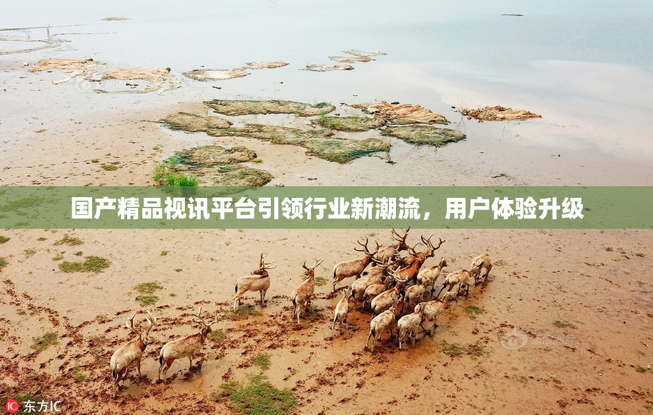 国产精品视讯平台引领行业新潮流，用户体验升级