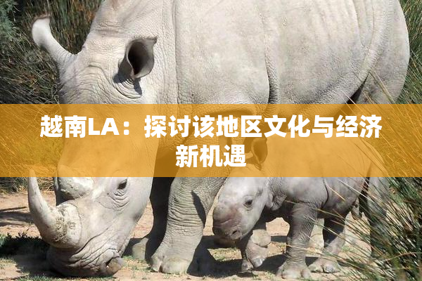 越南LA：探讨该地区文化与经济新机遇