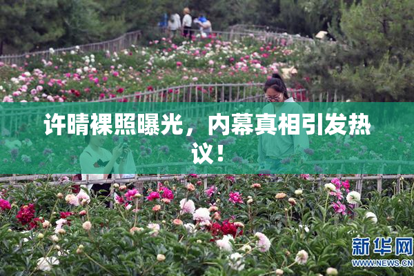 许晴裸照曝光，内幕真相引发热议！