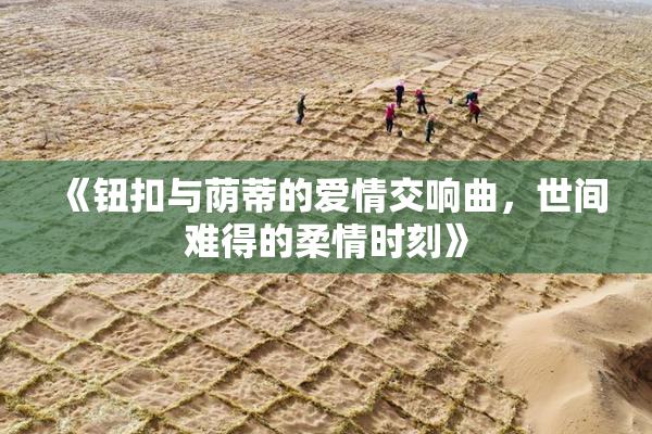 《钮扣与荫蒂的爱情交响曲，世间难得的柔情时刻》