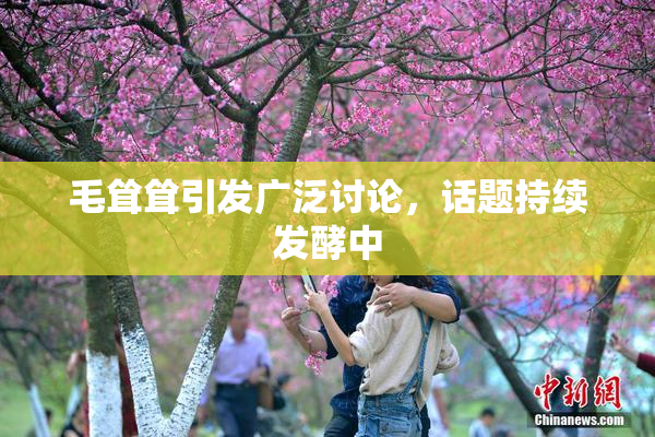 毛耸耸引发广泛讨论，话题持续发酵中