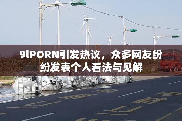 9lPORN引发热议，众多网友纷纷发表个人看法与见解