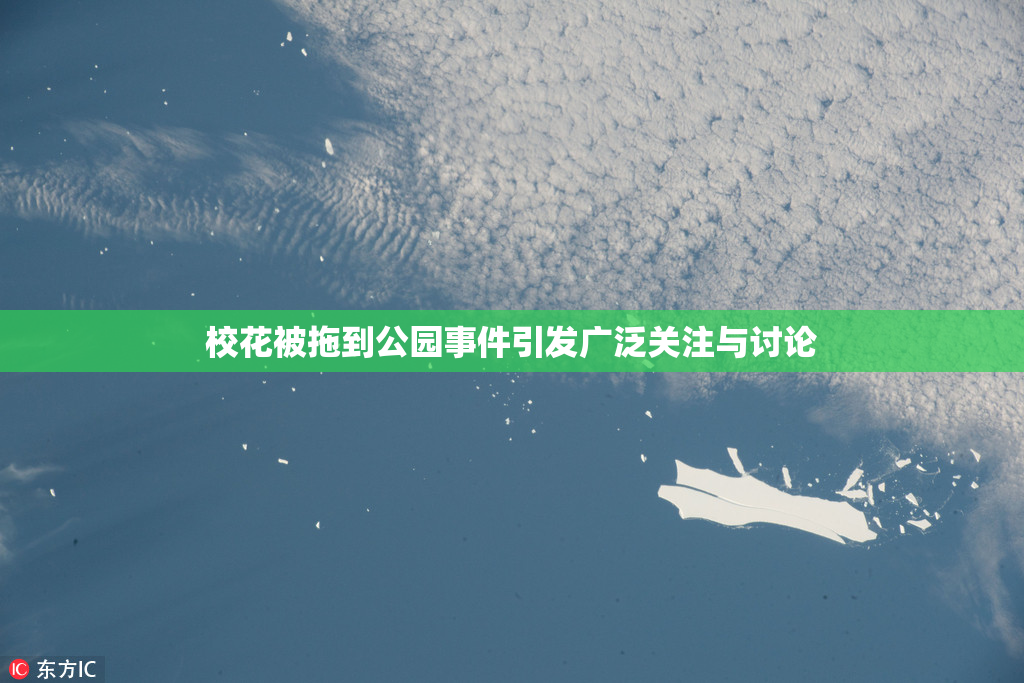 校花被拖到公园事件引发广泛关注与讨论