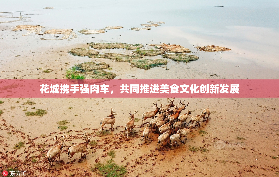 花城携手强肉车，共同推进美食文化创新发展