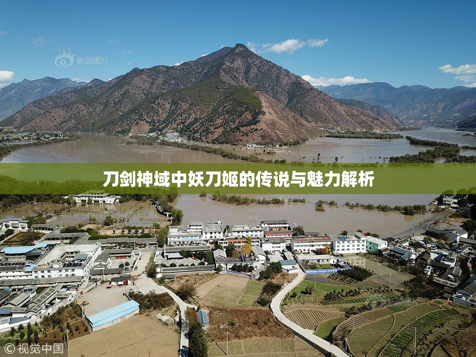 刀剑神域中妖刀姬的传说与魅力解析